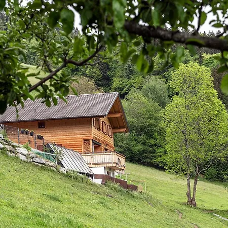 Haus Gruener Wald * Bartholomäberg