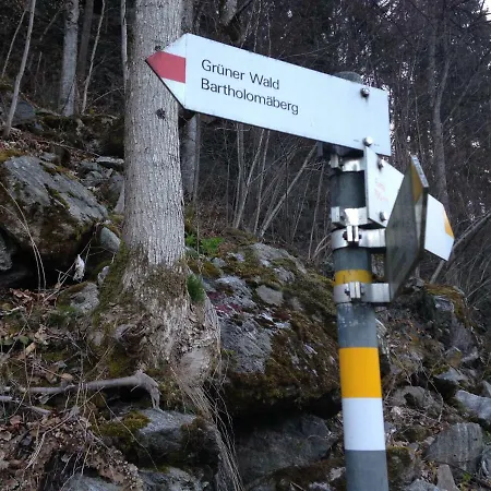 Appartement Haus Gruener Wald Bartholomäberg