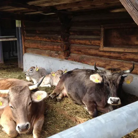 Appartement Haus Gruener Wald