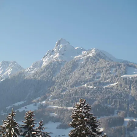 Haus Gruener Wald Appartement *